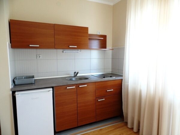 VILA MILSA SOKOBANJA (10)