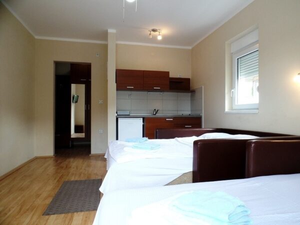 VILA MILSA SOKOBANJA (13)