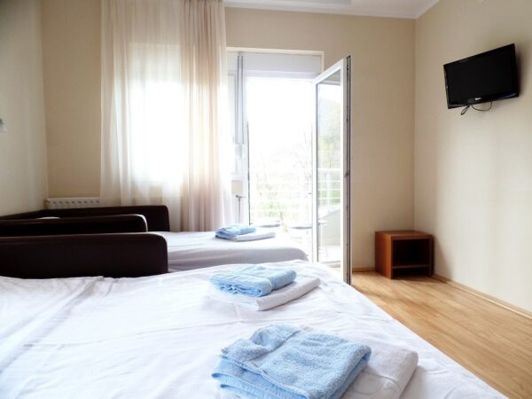 VILA MILSA SOKOBANJA (14)