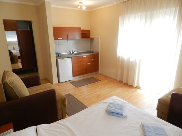 VILA MILSA SOKOBANJA (6)