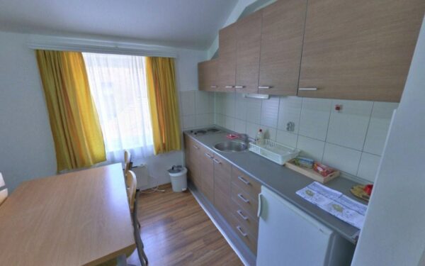 Vila Banjica, Sokobanja (11)