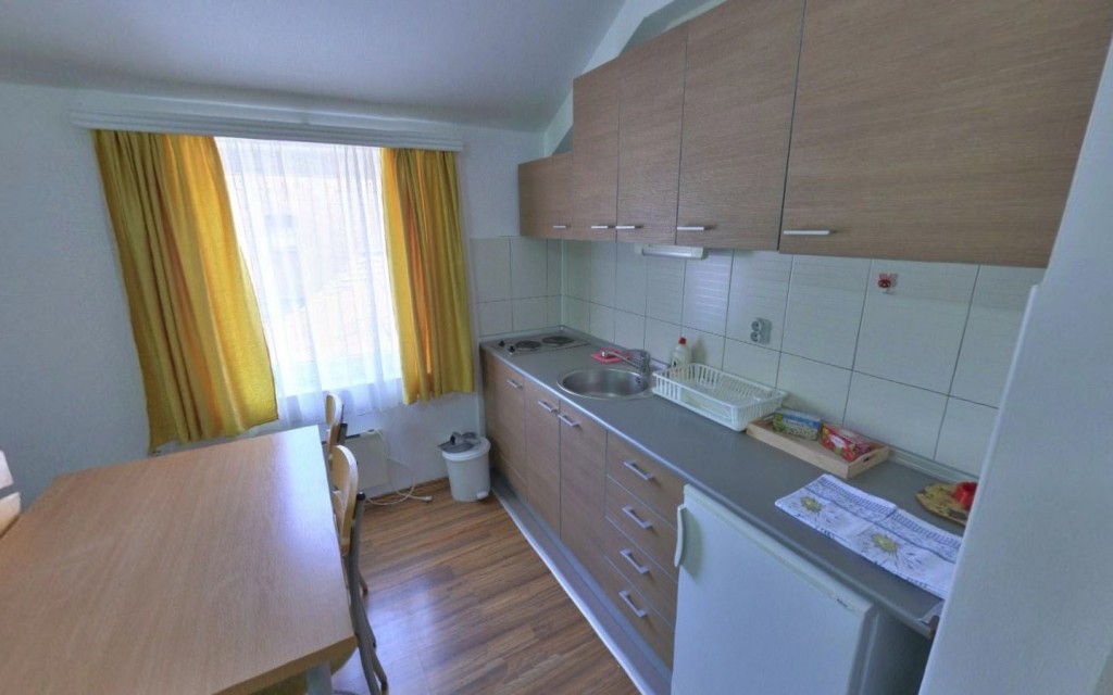 Vila Banjica, Sokobanja (11)