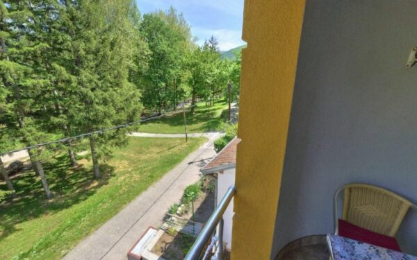 Vila Banjica, Sokobanja (13)