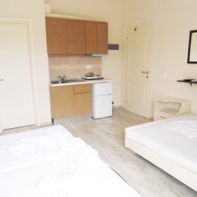 andromahi, leptokarija (3)