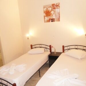 andromahi, leptokarija (5)