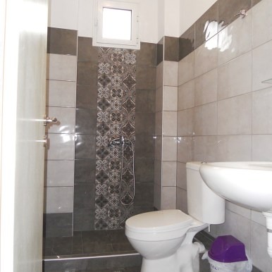 andromahi, leptokarija (9)