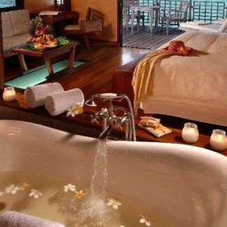 Wellness-2025.