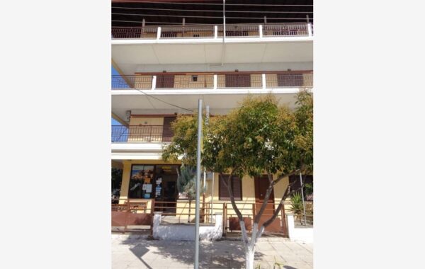 vila-andreu-nei pori (2)