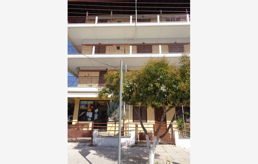 vila-andreu-nei pori (2)