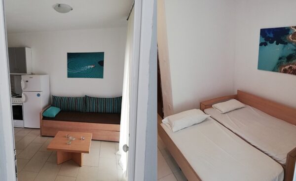 Adams-Siesta-Nikiti (2)