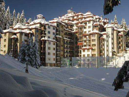 Camelia, Pamporovo (1)