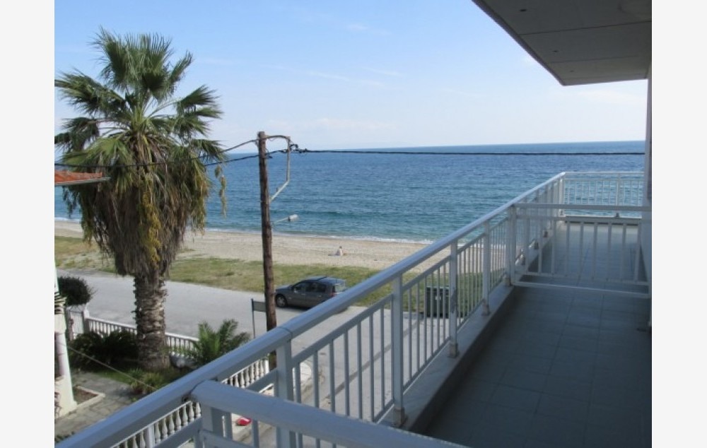 Stela (7)