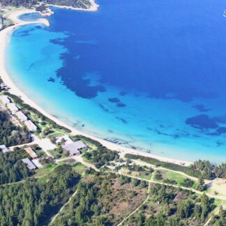 Paliouri