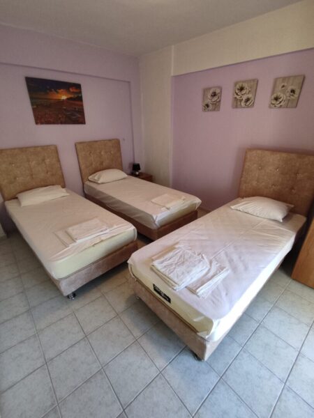 lemoni-mezoneta-nea-skioni (10)