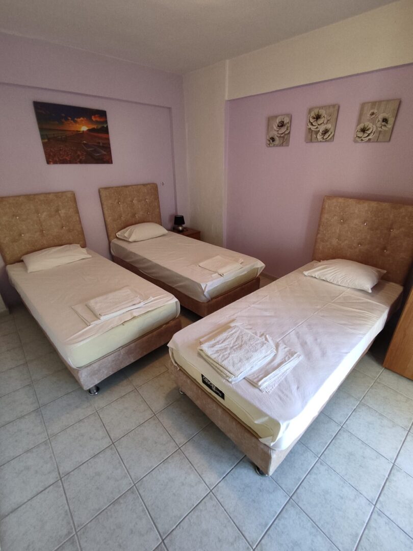 lemoni-mezoneta-nea-skioni (10)