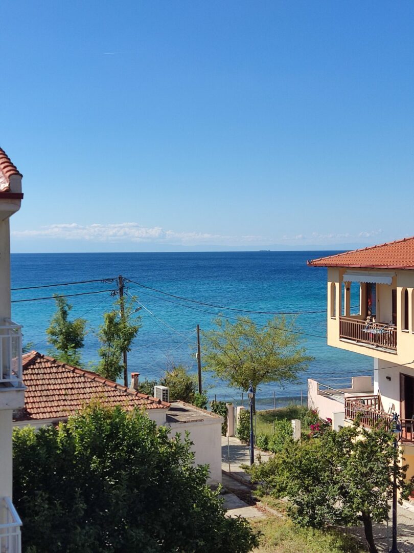 lemoni-mezoneta-nea-skioni (13)