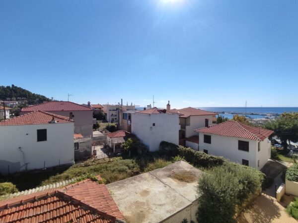 lemoni-mezoneta-nea-skioni (14)