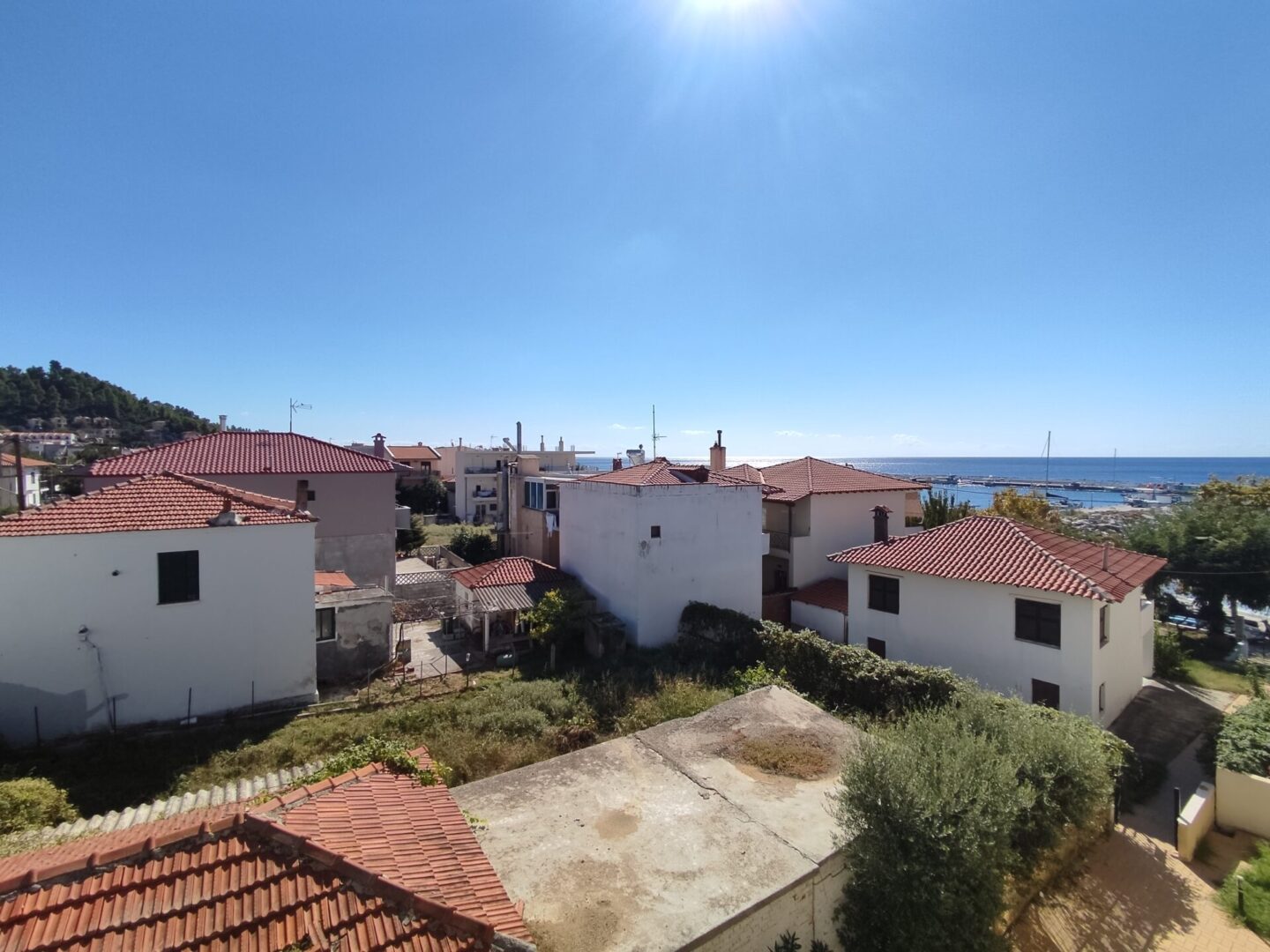 lemoni-mezoneta-nea-skioni (14)