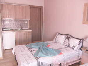 vila-konstantinos-neavrasna (16)