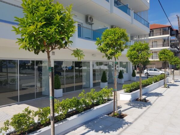 vila_aqua_suites-letovanje_nei_pori-el-mar (4)