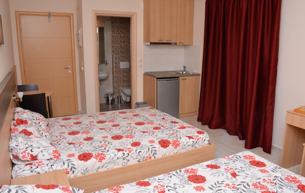 vila-ivet-paralija (2)