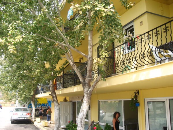 asprovalta-beach-neavrasna (10)