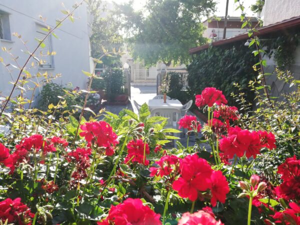 levanta-asprovalta (1)