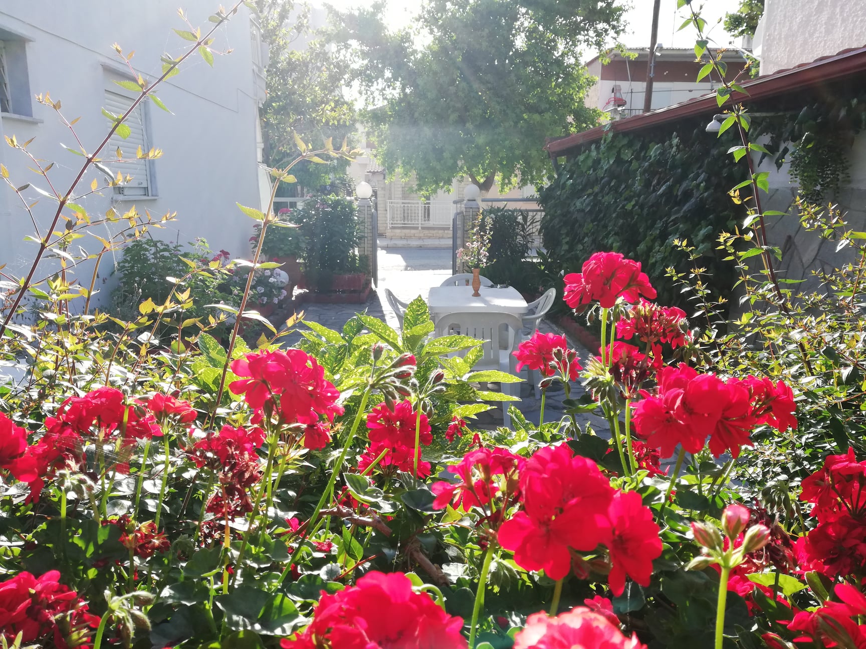 levanta-asprovalta (1)