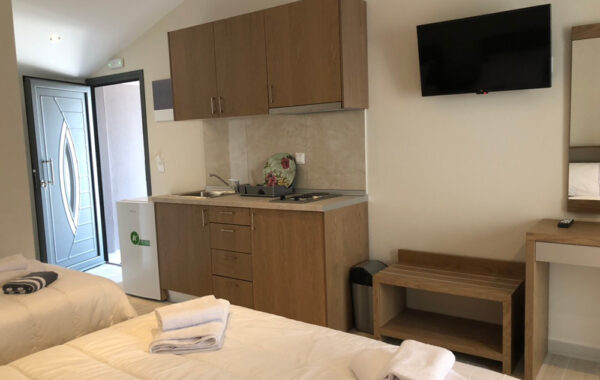 vila-litsa-sarti (3)