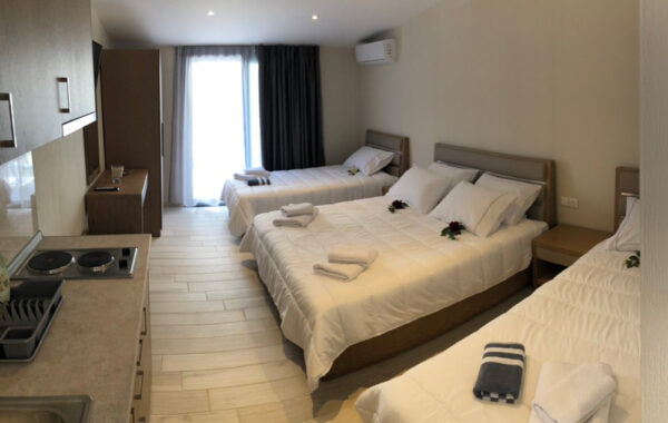 vila-litsa-sarti (5)