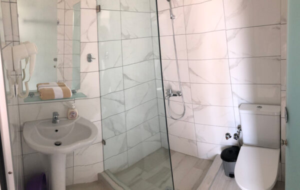 vila-litsa-sarti (9)