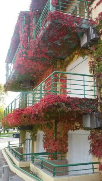 vila-golden-beach-hanioti (17)