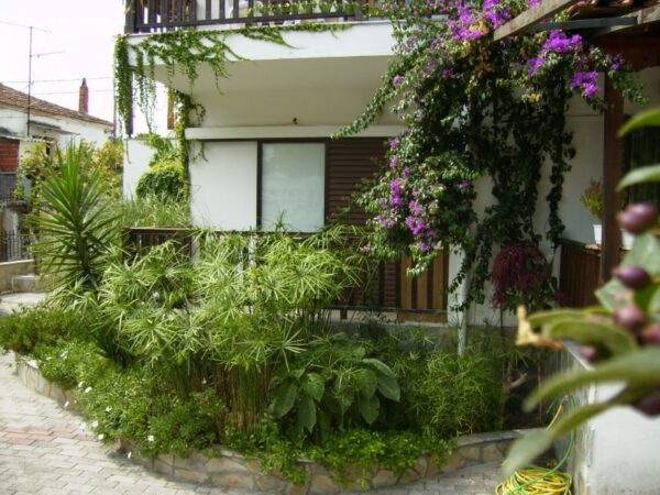 vila_asterios_letovanje_hanioti (29)