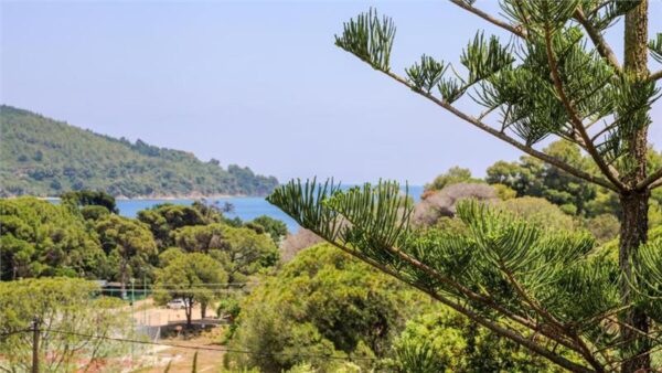 Vila Maria, Skijatos (7)