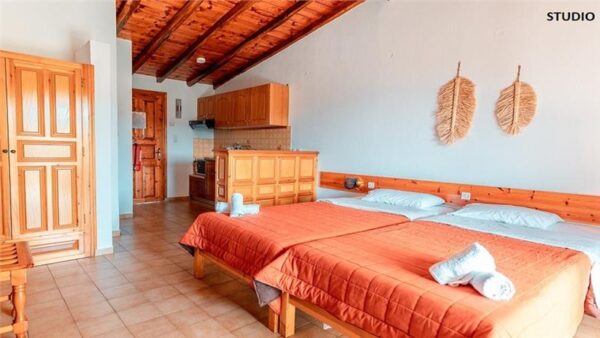 Vila Maria, Skijatos (9)